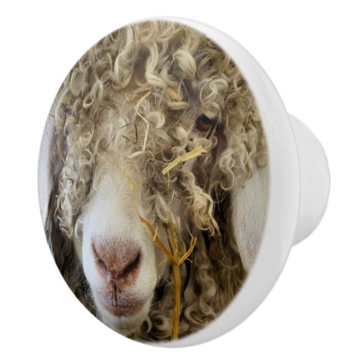 KUSTGOAT KERAMISCHE KNOP (Rechts)