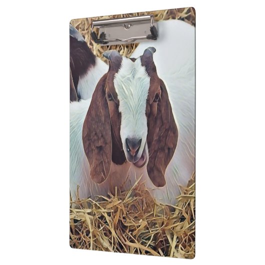 KUSTGOAT KLEMBORD (Links)