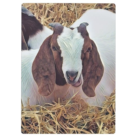 KUSTGOAT KLEMBORD (Achterkant)