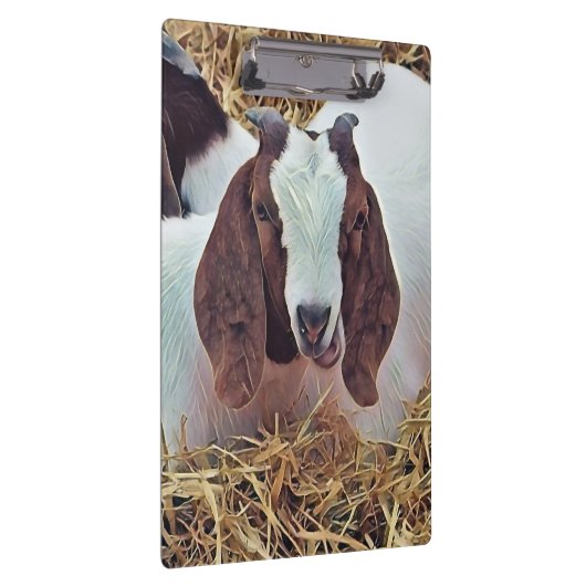 KUSTGOAT KLEMBORD (Rechts)