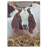 KUSTGOAT KLEMBORD (Voorkant)