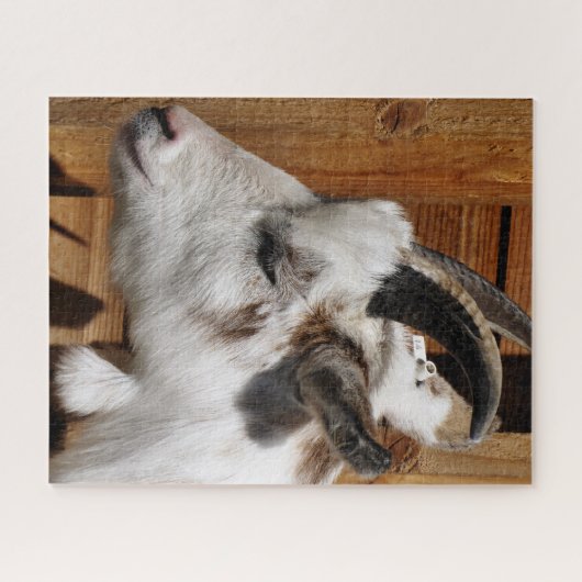 KUSTGOAT LEGPUZZEL (Horizontaal)