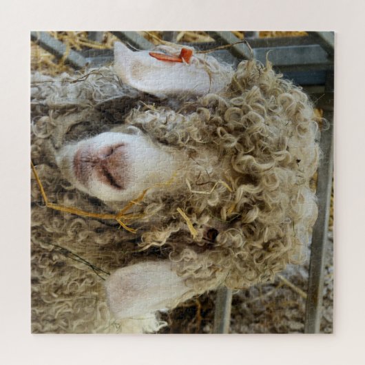 KUSTGOAT LEGPUZZEL (Horizontaal)