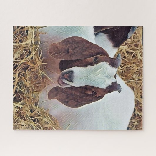 KUSTGOAT LEGPUZZEL (Horizontaal)