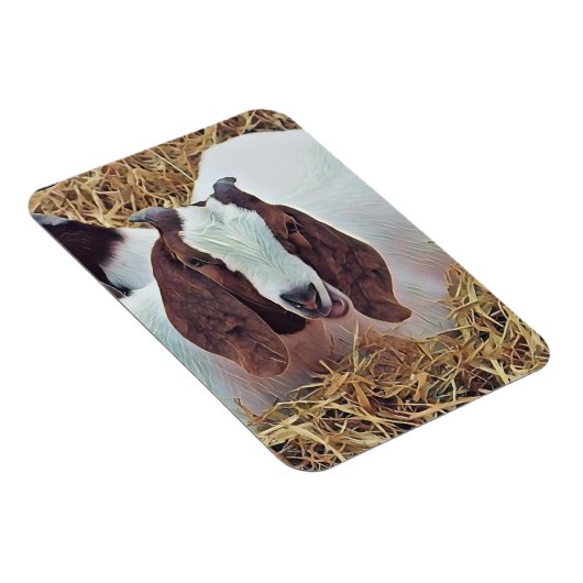 KUSTGOAT MAGNEET (Rechterzijde)