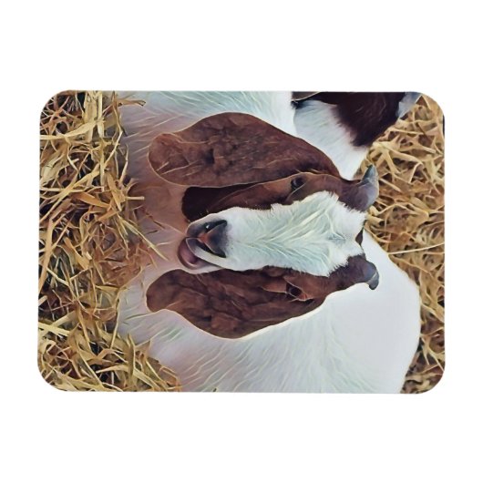 KUSTGOAT MAGNEET (Horizontaal)