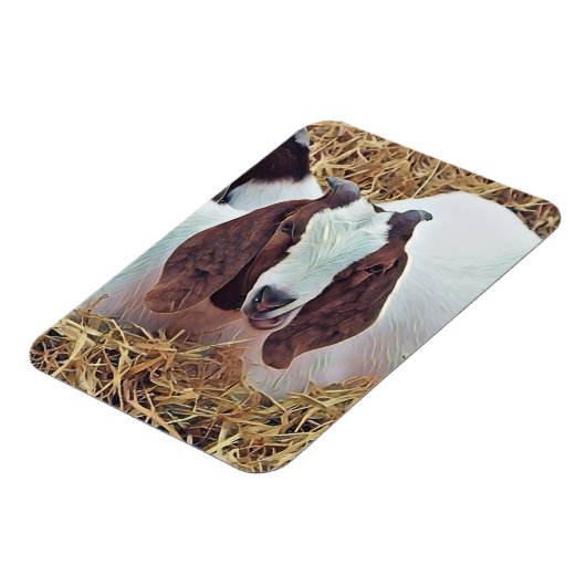 KUSTGOAT MAGNEET (Linkerzijde)