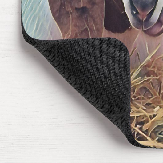 KUSTGOAT MUISMAT (Hoek)