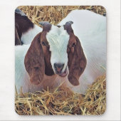 KUSTGOAT MUISMAT (Voorkant)