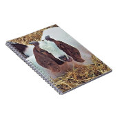 KUSTGOAT NOTITIEBOEK (Rechterzijde)