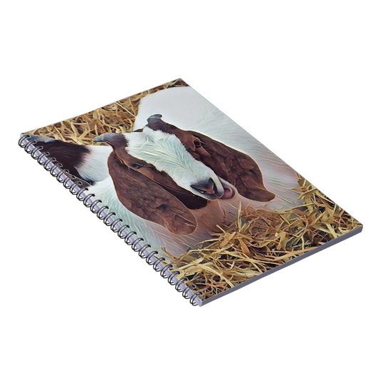 KUSTGOAT NOTITIEBOEK (Rechterzijde)