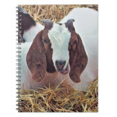 KUSTGOAT NOTITIEBOEK (Voorkant)