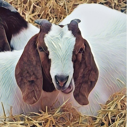 KUSTGOAT POKERKAARTEN