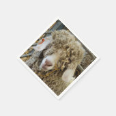 KUSTGOAT SERVET (Hoek)