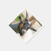 KUSTGOAT SERVET (Hoek)