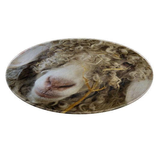 KUSTGOAT SNIJPLANK (Hoek)