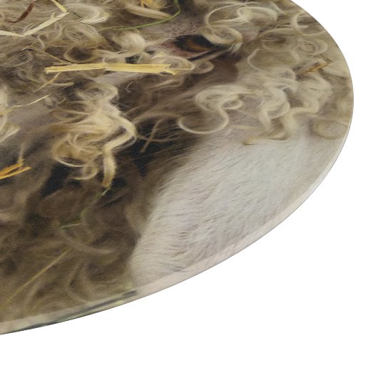 KUSTGOAT SNIJPLANK (Hoek)