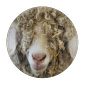 KUSTGOAT SNIJPLANK (Voorkant)