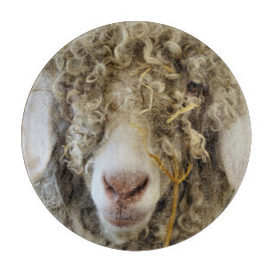 KUSTGOAT SNIJPLANK