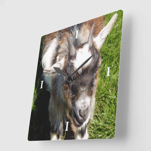 KUSTGOAT VIERKANTE KLOK (Hoek)