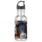 KUSTGOAT WATERFLES (Voorkant)