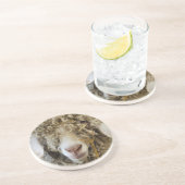 KUSTGOAT ZANDSTEEN ONDERZETTER (Zijkant)