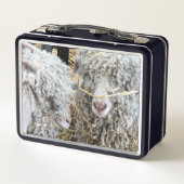 KUSTGOTEN (Achterkant)