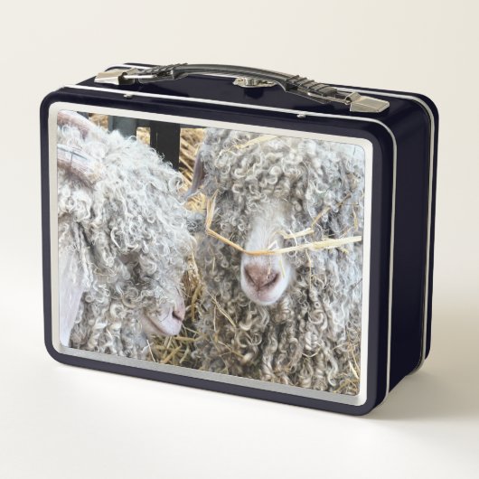 KUSTGOTEN (Achterkant)