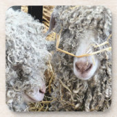 KUSTGOTEN BIER ONDERZETTER (Voorkant)