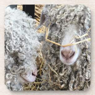 KUSTGOTEN BIER ONDERZETTER