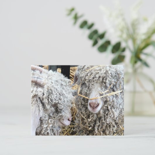 KUSTGOTEN BRIEFKAART (Staand voorkant)