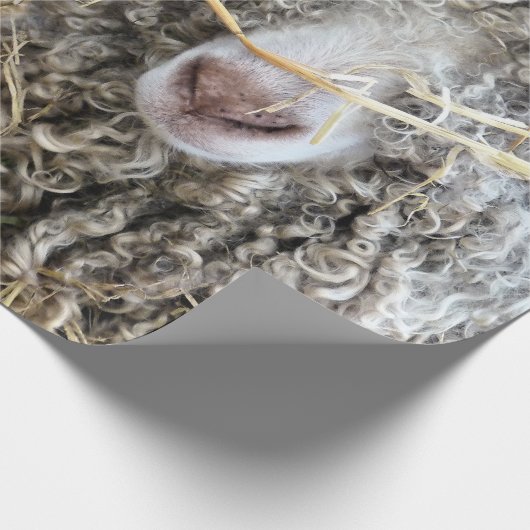 KUSTGOTEN CADEAUPAPIER (Hoek)