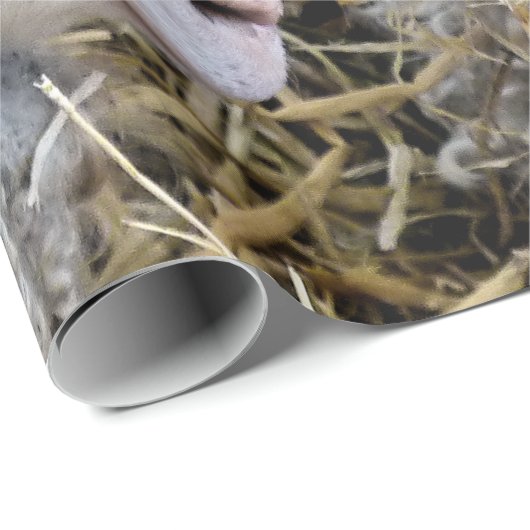 KUSTGOTEN CADEAUPAPIER (Rol Hoek)