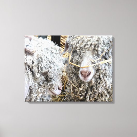 KUSTGOTEN CANVAS AFDRUK (Voorkant)