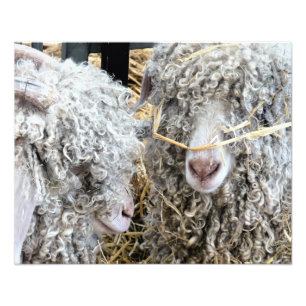 KUSTGOTEN FOTO AFDRUK