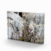 KUSTGOTEN FOTOBLOKKEN