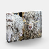 KUSTGOTEN FOTOBLOKKEN (Links)