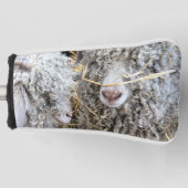 KUSTGOTEN GOLFHEADCOVER (Voorkant)