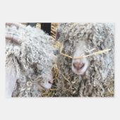 KUSTGOTEN INPAKPAPIER VEL (Voorkant 3)