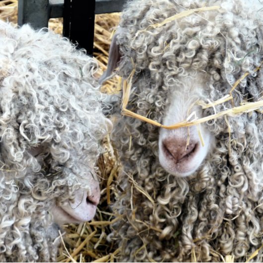 KUSTGOTEN INPAKPAPIER VEL