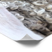 KUSTGOTEN POSTER (Hoek)