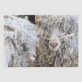 KUSTGOTEN TISSUEPAPIER (Voorkant)