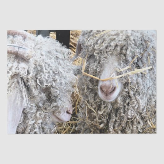 KUSTGOTEN TISSUEPAPIER (Voorkant)