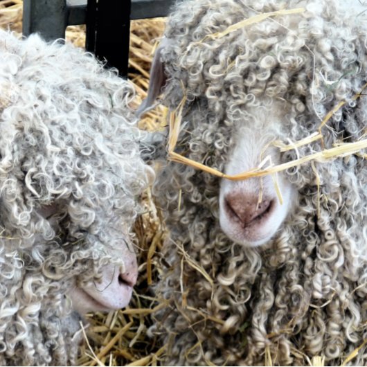 KUSTGOTEN TISSUEPAPIER