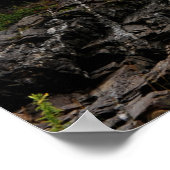 KustGuard Cutter Eagle & Portland Head Light Poster (Hoek)