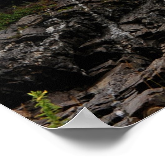 KustGuard Cutter Eagle & Portland Head Light Poster (Hoek)