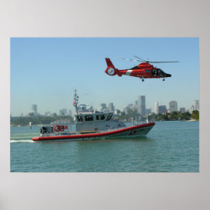 KustGuard MH-65 Dolphin Helikopter Poster