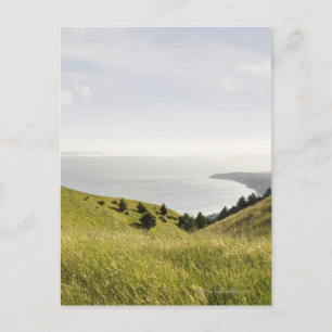 Kustheuvels, Bolinas Ridge, Californië Briefkaart
