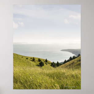 Kustheuvels, Bolinas Ridge, Californië Poster
