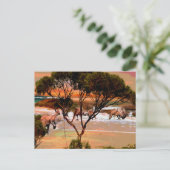 Kusthop: Kangoeroes aan de kust in olie Briefkaart (Staand voorkant)